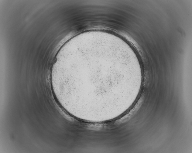 X0000112511329200909280947