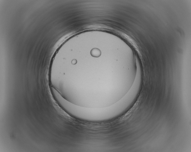 X0000112511330200909280947