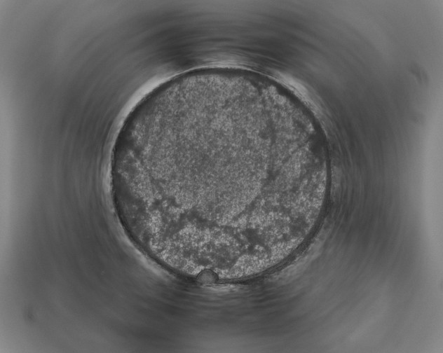 X0000112511331200909280947