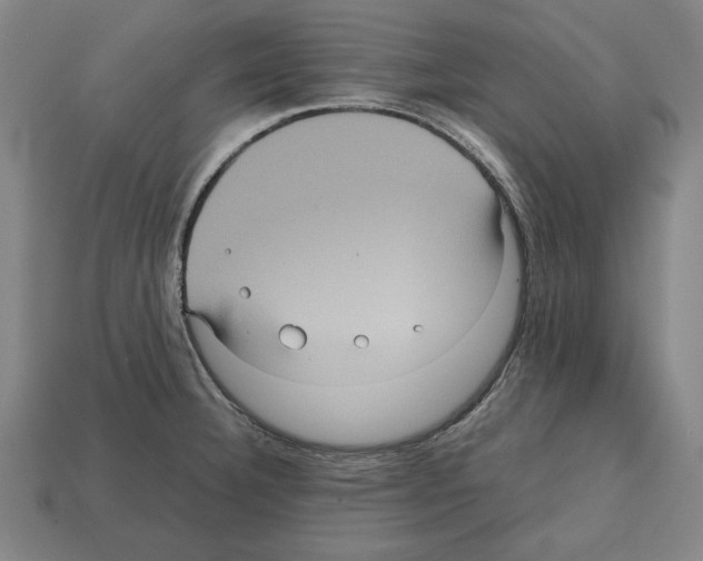 X0000112511332200909280947