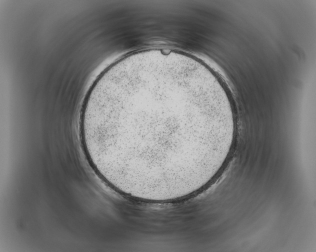 X0000112511333200909280947