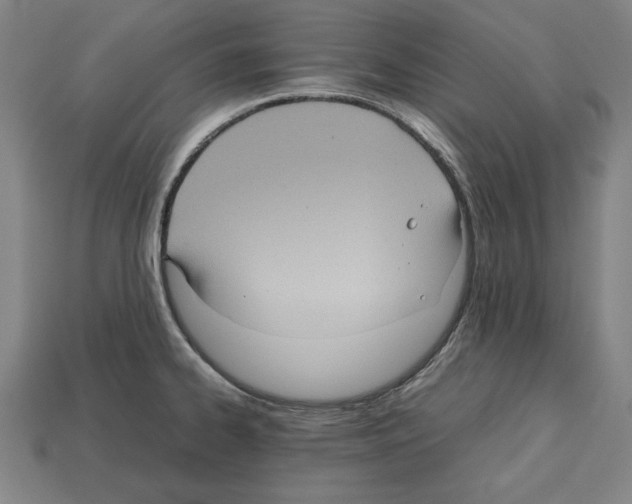 X0000112511334200909280947