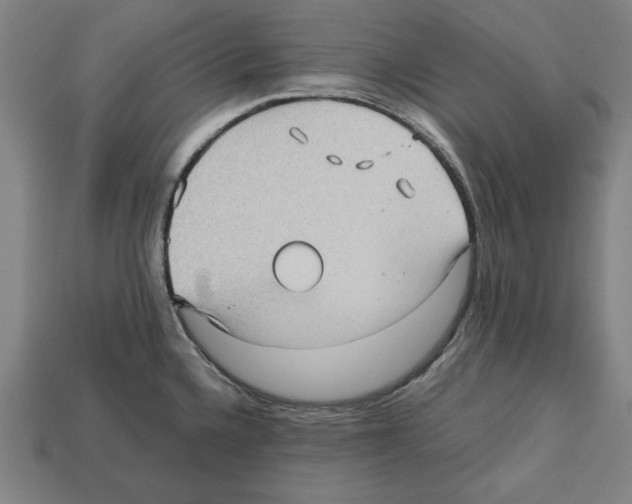 X0000112511336200909280947