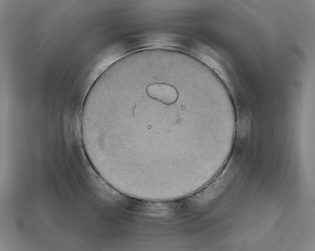 X0000112511338200909280947