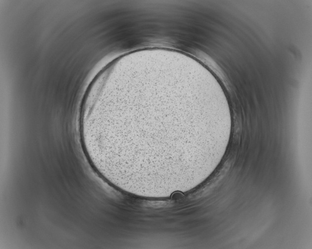 X0000112511339200909280947