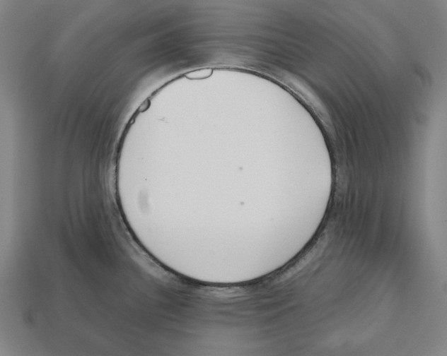 X0000112511340200909280947