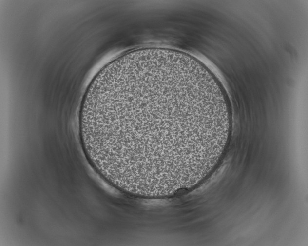 X0000112511341200909280947