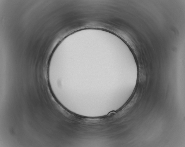 X0000112511342200909280947