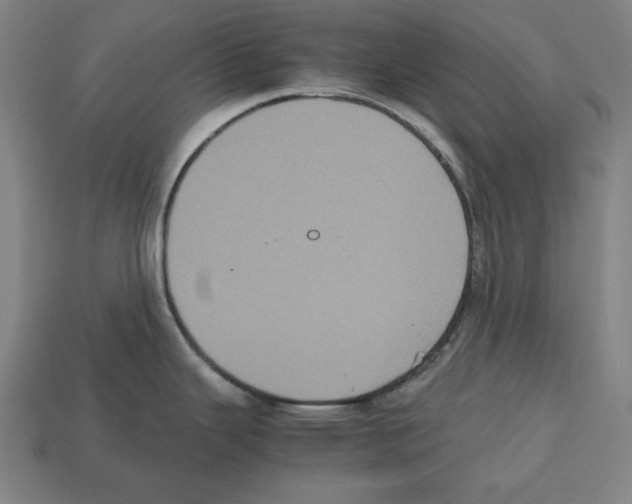 X0000112511343200909280947