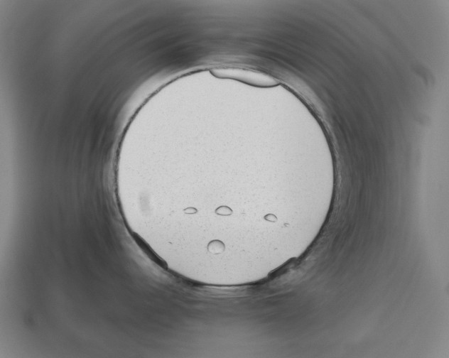 X0000112511344200909280947