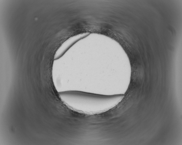 X0000112511345200909280946