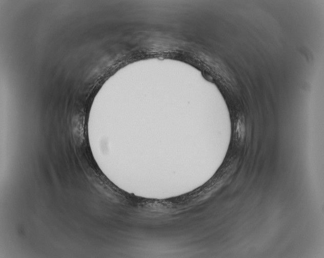 X0000112511348200909280946