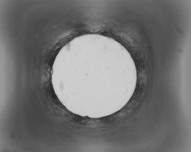 X0000112511349200909280946