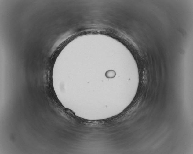 X0000112511352200909280946