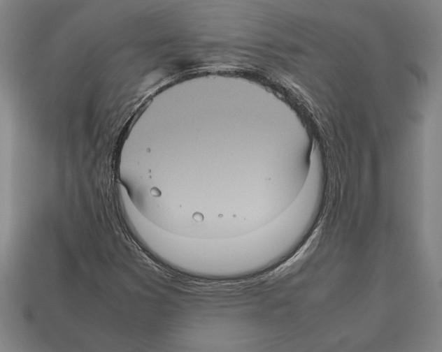 X0000112511353200909280946