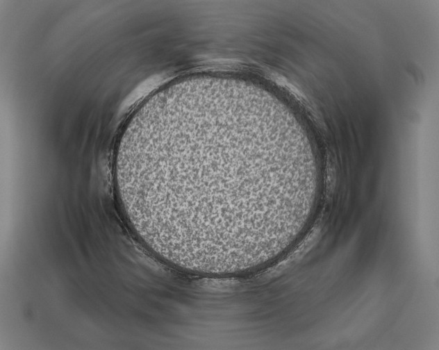 X0000112511354200909280946