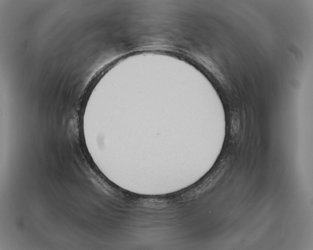 X0000112511356200909280946