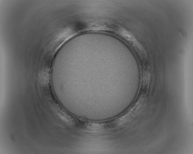 X0000112511361200909280946