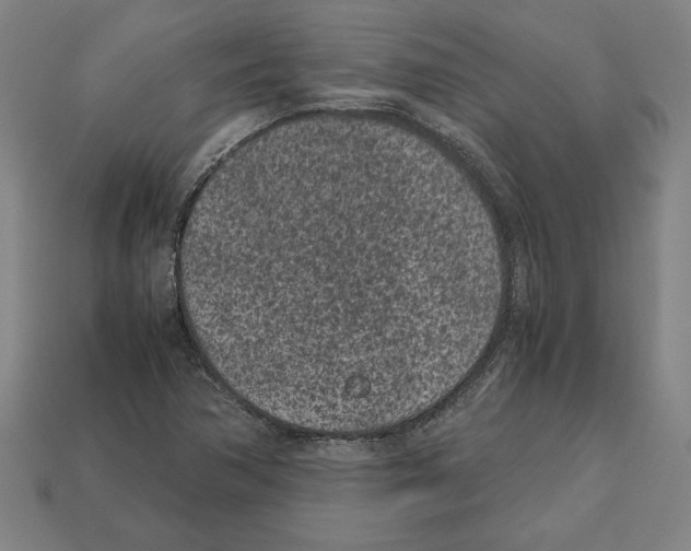 X0000112511362200909280946