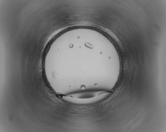 X0000112511364200909280946