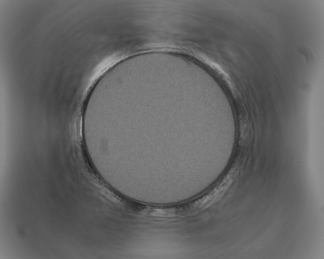 X0000112511365200909280946