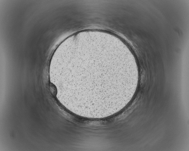 X0000112511367200909280946