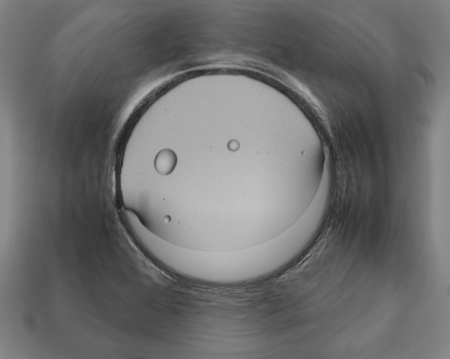 X0000112511368200909280946