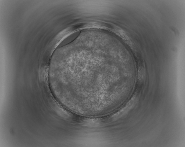 X0000112511369200909280946