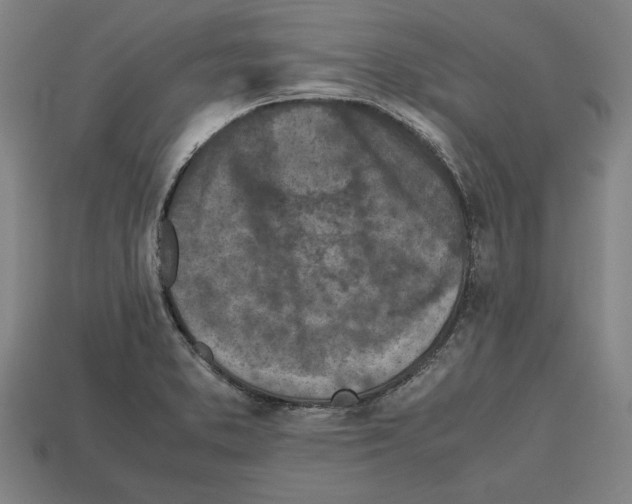 X0000112511373200909280946