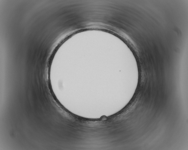 X0000112511376200909280946