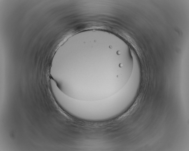 X0000112511377200909280946