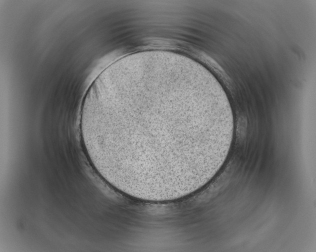 X0000112511378200909280946