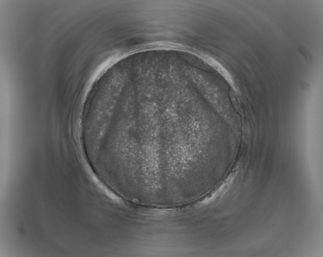 X0000112511381200909280946