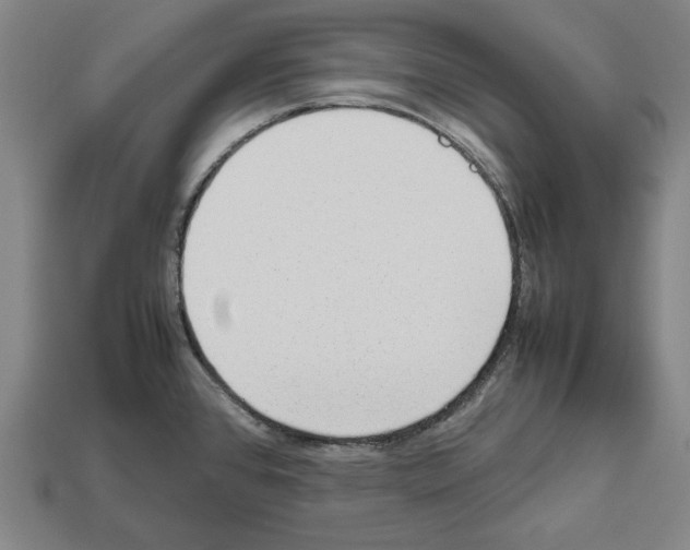 X0000112511384200909280946