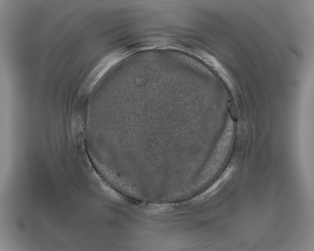 X0000112511385200909280946