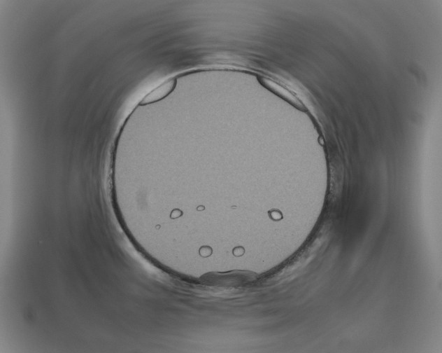 X0000112511387200909280946