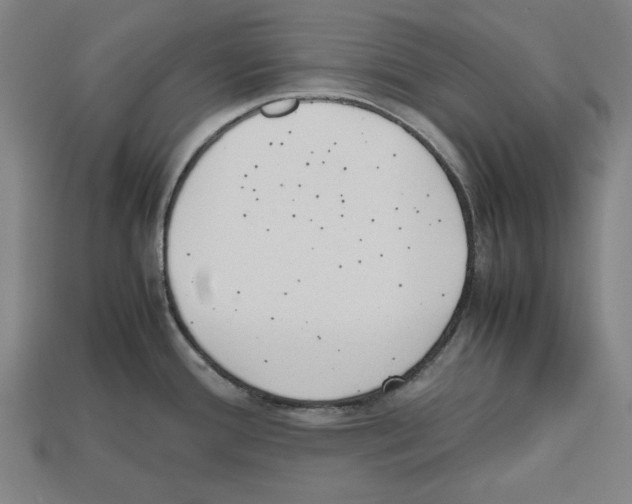 X0000112511388200909280946