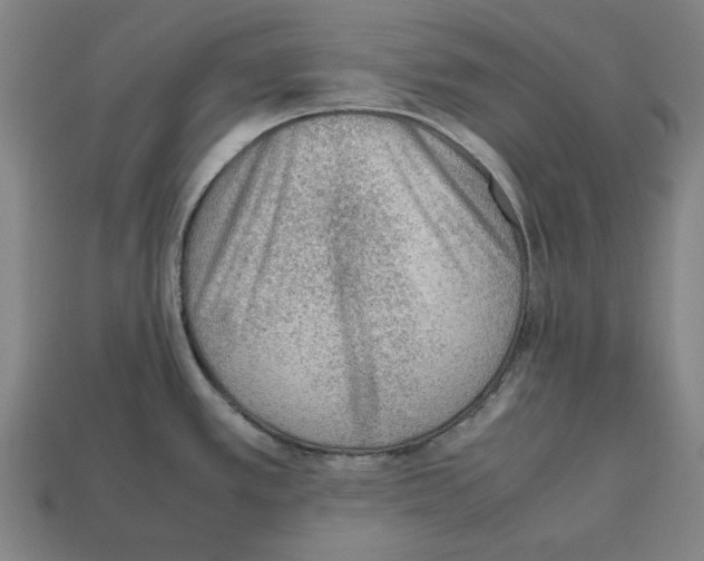 X0000112511389200909280946