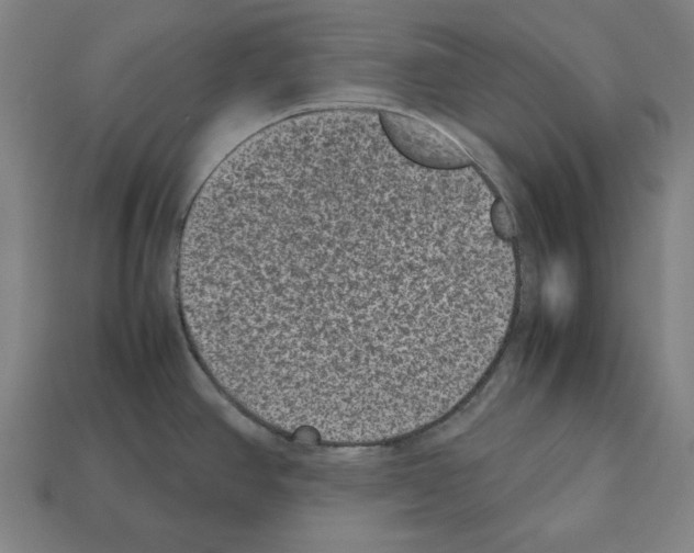 X0000112511390200909280946