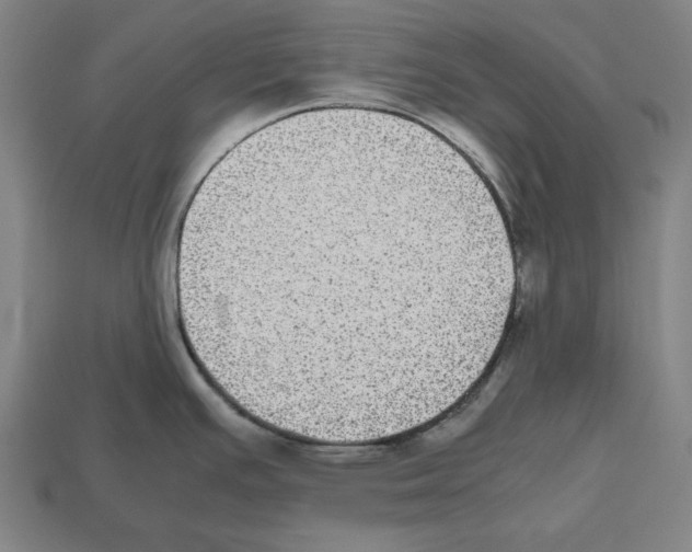 X0000112511391200909280946