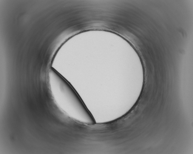 X0000112511392200909280946