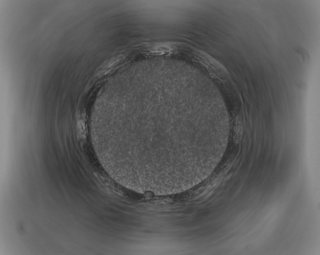 X0000112511394200909280945