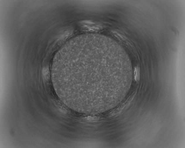 X0000112511395200909280945