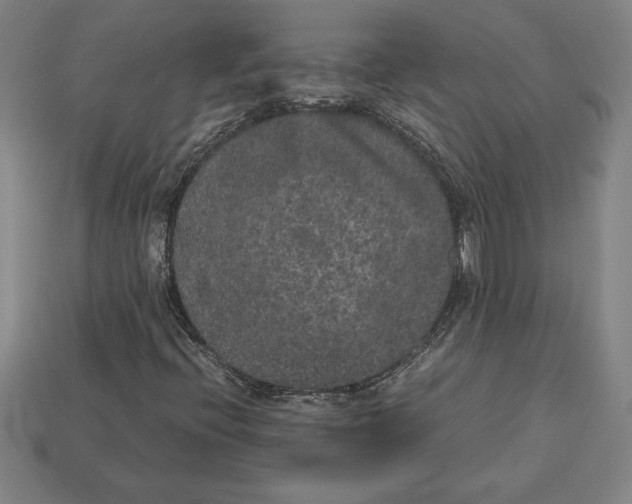 X0000112511396200909280945