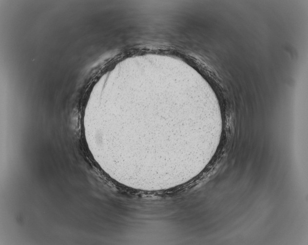 X0000112511398200909280945