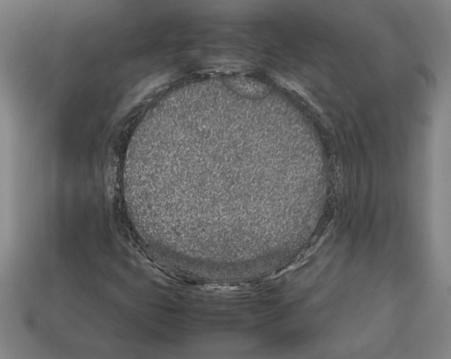 X0000112511399200909280945