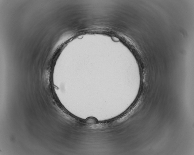 X0000112511402200909280945