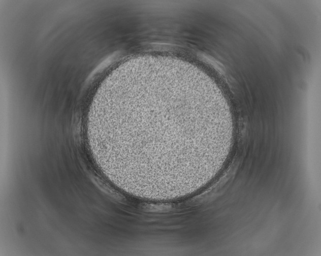 X0000112511403200909280945