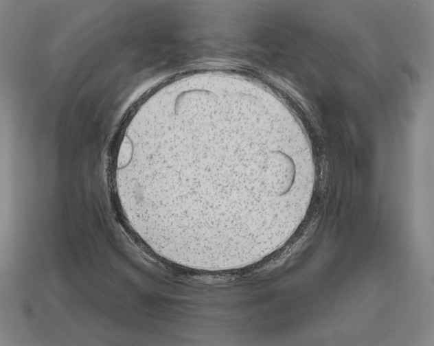 X0000112511404200909280945