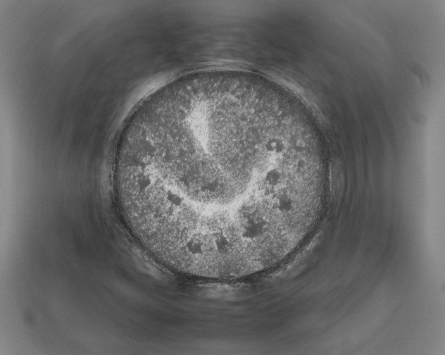 X0000112511405200909280945